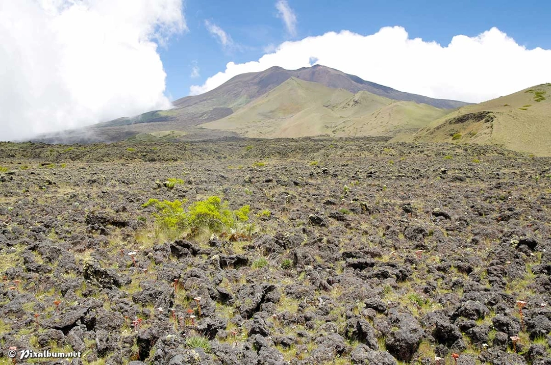 Ascension du Mont Cameroun